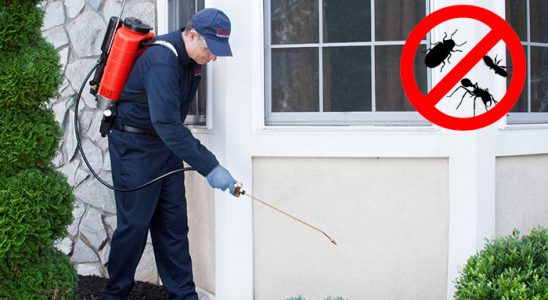 Çamlıhemşin Dezenfeksiyon böcek ilaçlama ve haşere kontrolü — ilaclama-tr.com